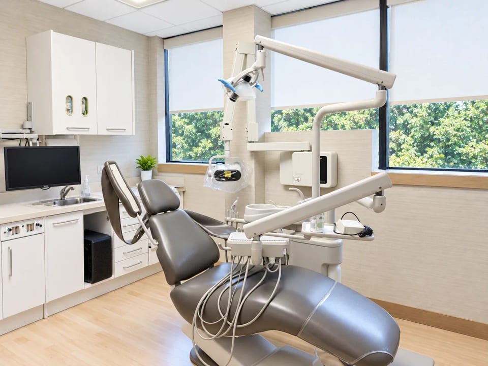 A treatment room at the Pearl River office, with windows overlooking the trees